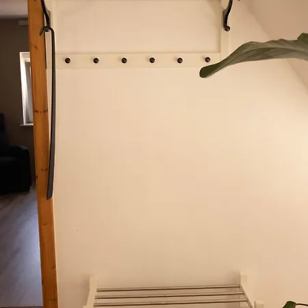 Kuzey Apartment *